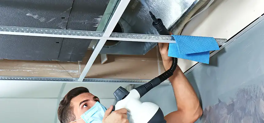 Our Air Duct Rodent Removal Services in Asbury Park, NJ