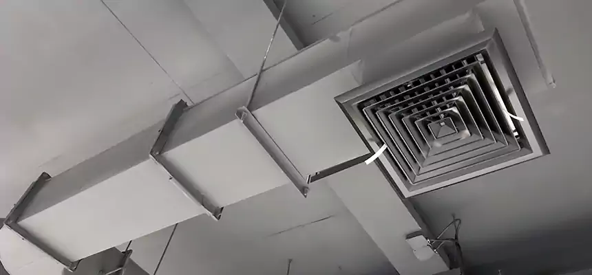 Our Pest Removal From Ducts Services in Asbury Park, NJ