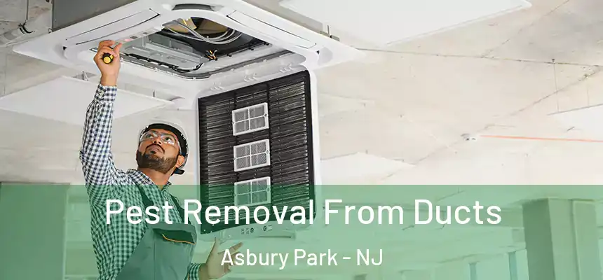  Pest Removal From Ducts Asbury Park - NJ