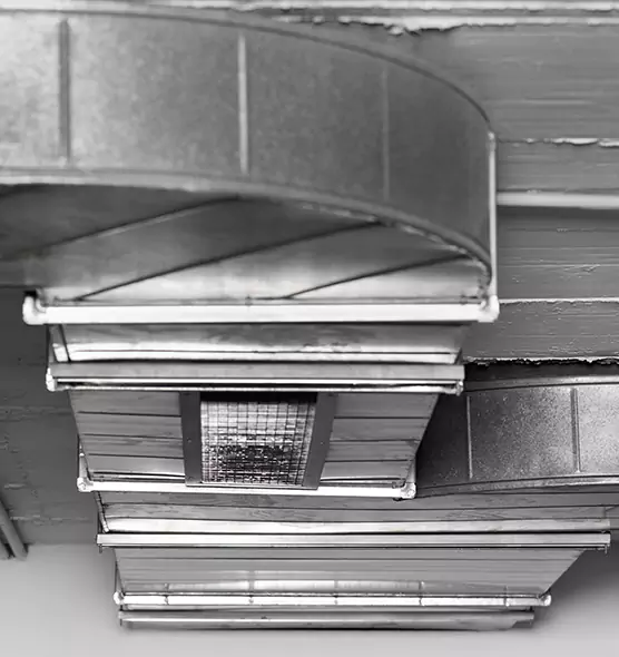 Professional Air Duct Pest Removal in Asbury Park, NJ