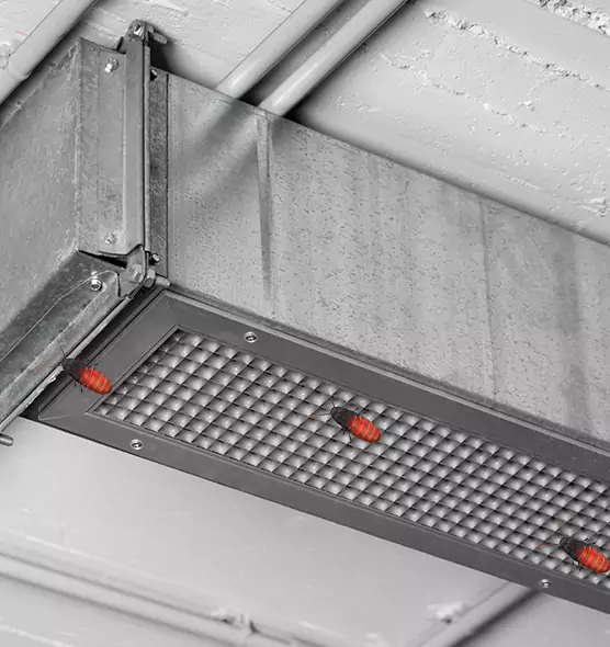 Affordable Insect Removal from Air Ducts in Asbury Park, NJ