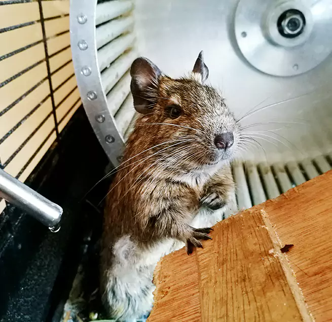 Why Homeowners & Businesses Trust Us Asbury Park, NJ